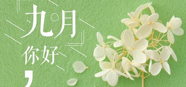 邁傳減速機(jī)